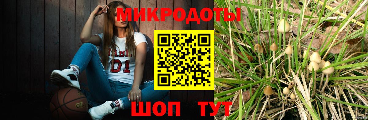 Псилоцибиновые грибы мицелий Арсеньев