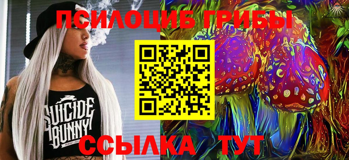 Псилоцибиновые грибы Psilocybe  дарнет шоп  Вход с VPN  Арсеньев  Псилоцибиновые грибы Cubensis 