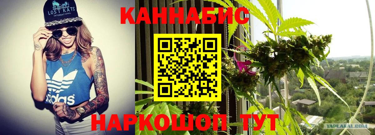 Канабис сатива Арсеньев